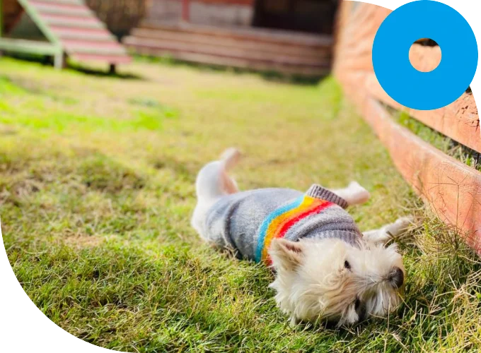 Disfruta un una semana de Lodge