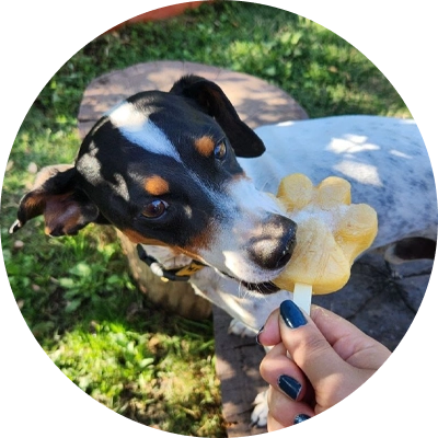 Opinión de los papis de Bobby