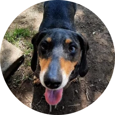 Opinión de los papis de Amadeus