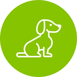 + de 3.153 huéspedes